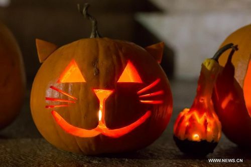 three pumpkins with carved faces and cats on them