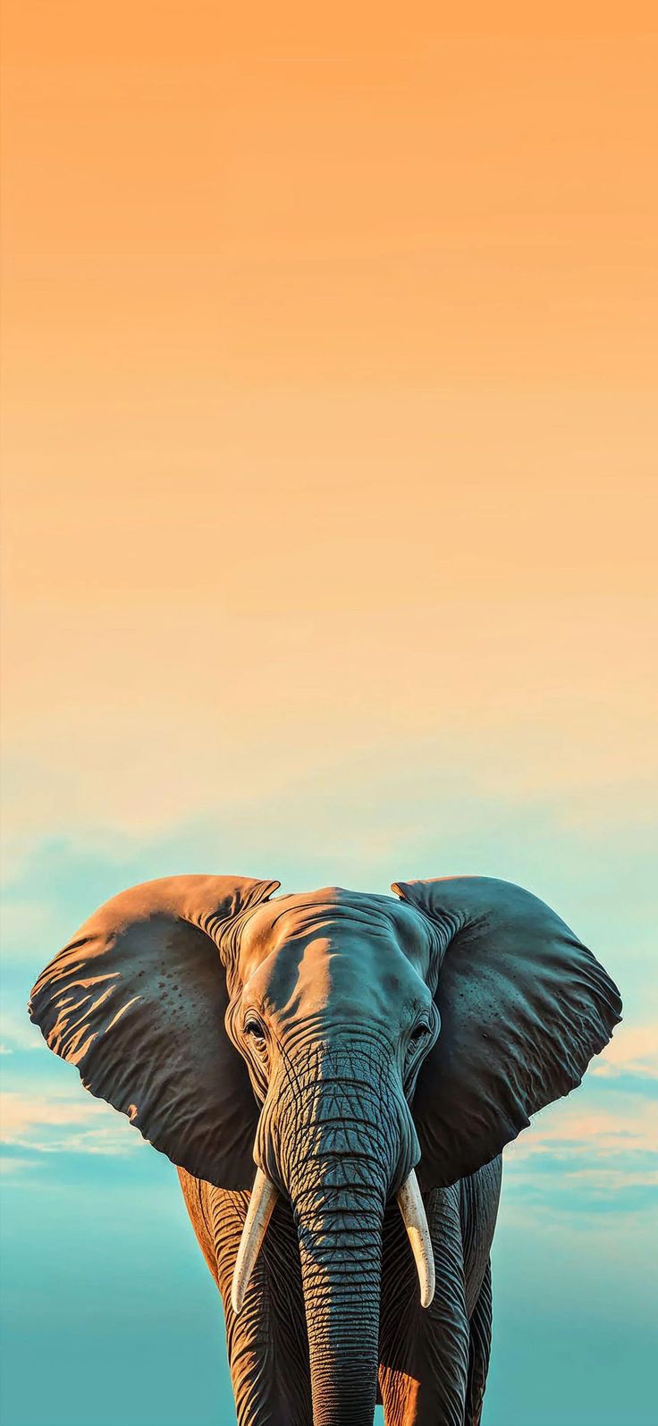 an elephant with tusks standing in front of a blue, orange and yellow sky