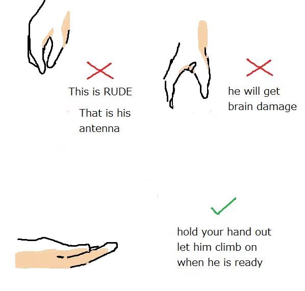 instructions on how to draw hands for children