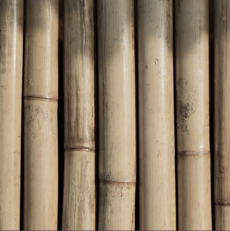 a bunch of bamboo sticks that are lined up