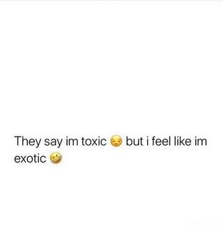 the text says, they say i'm toxic but i feel like im exotic