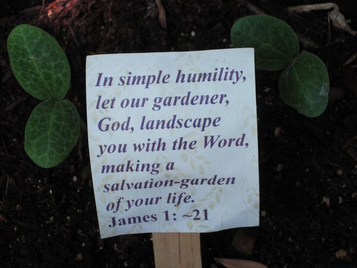 a sign that says in simple humility, let our gardener, god, landscape you with the word, making a salvation - garden of your life