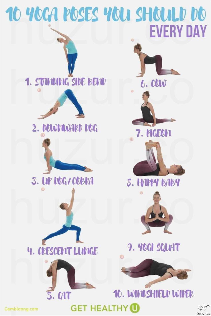 yoga poses you should do every day for beginners to learn the art of yoga