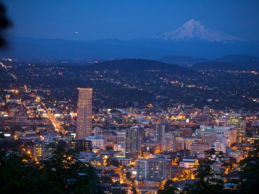 the city is lit up at night with mountains in the backgrouund and trees on the foreground