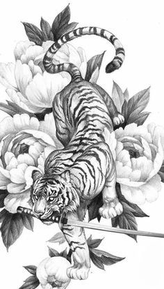 Prowling Lion Tattoo, Tiger Body Drawing, Japanese Animals Tattoo, Japanese Tattoos Tiger, Tiger Body Tattoo, Japanese Tiger Drawing, Tiger Art Tattoo, Japanese Tattoo Tiger, Tiger Tattoo Drawing