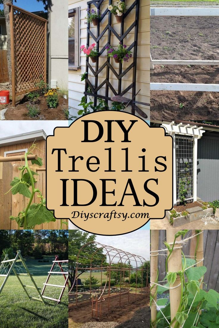 there are many different types of trelliss in the yard and on the fence