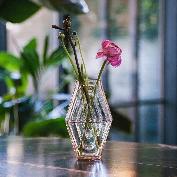 two pink flowers in a clear vase on a table