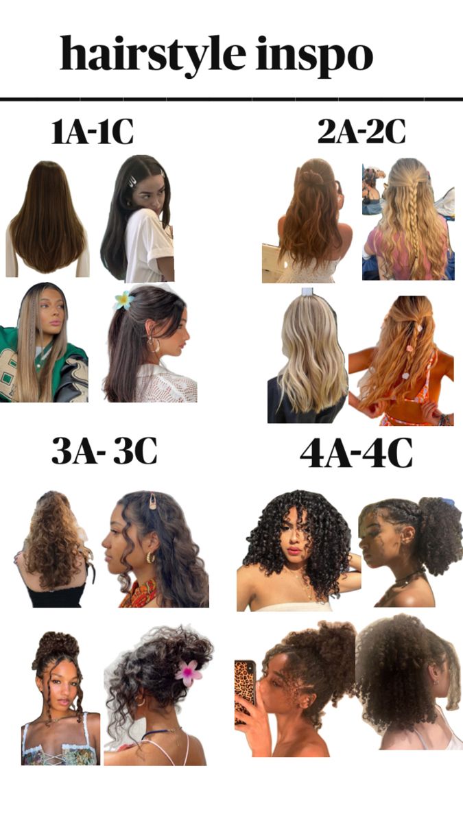 Hairstyle inspo for all hair types, 1a 1b 1c 2a 2b 2c 3a 3b 3c 4a 4b 4c💗 Best Hairstyle For Curly Hair, Type 1c Hair, Type 3a Hair, 3b Hair Type, 4c Curly Hair, Type 2a Hair, 3c Hair Type, Hair Type Chart, Hairstyle For Curly Hair