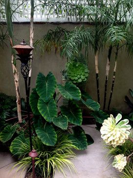 a garden with lots of plants and trees in it's back yard, next to a lamp post