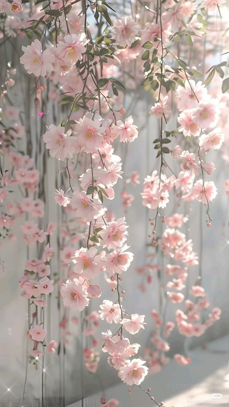 pink flowers hanging from the side of a building