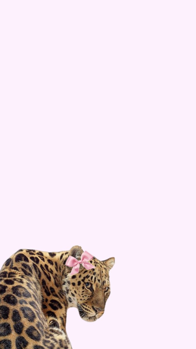 a leopard with a pink bow sitting on top of it's back and looking off into the distance