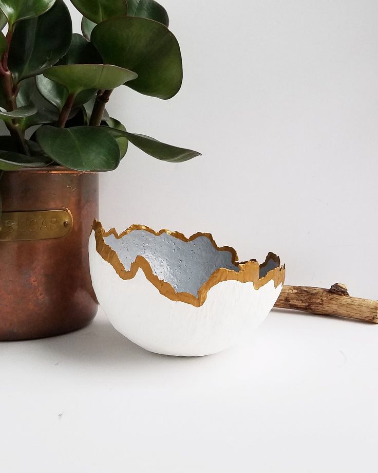 a white and gold bowl sitting next to a potted plant on top of a table