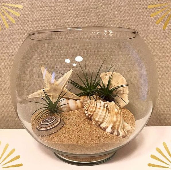 a glass bowl filled with sand, shells and air plants sitting on top of a table