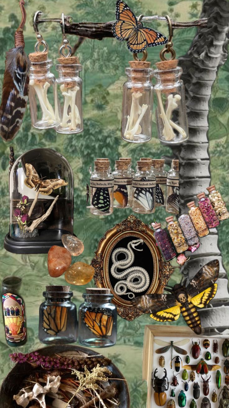 an assortment of items displayed in glass jars on a wall with butterflies and other things