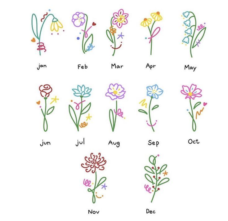 flowers are drawn in different colors on a white background with the words, months and month