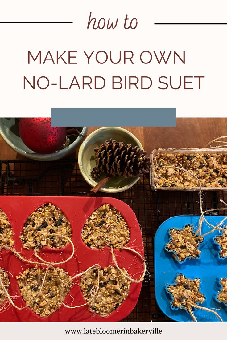 homemade no - laid bird suet treats with text overlay that reads how to make your own no - lard bird suet