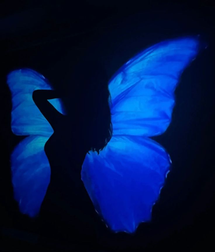 the silhouette of a person with a butterfly on their back, against a dark background