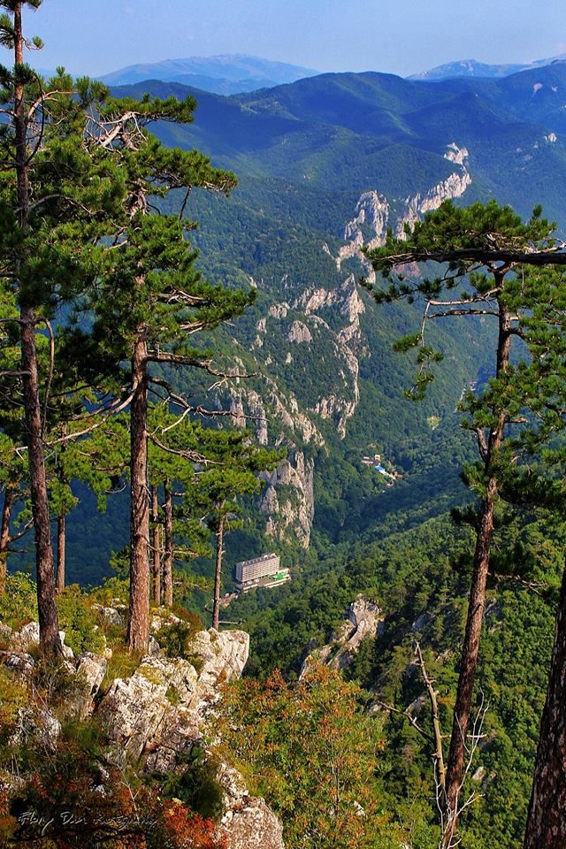 the mountains are covered with trees and rocks in the foreground is a valley that stretches into the distance