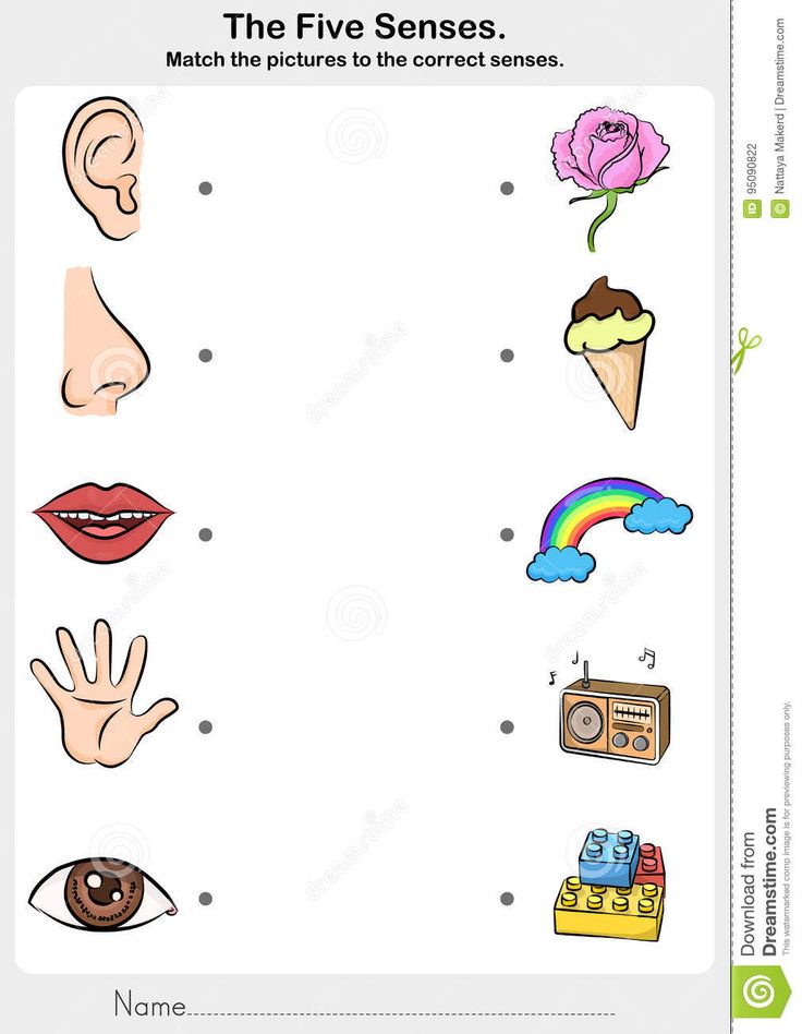 the five senses worksheet for kids with pictures and words to learn how to read them