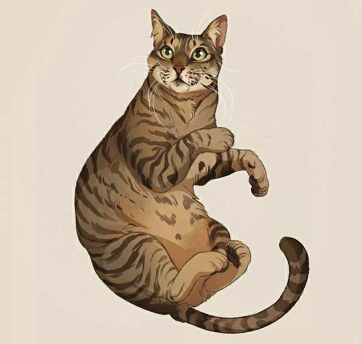 a drawing of a cat sitting on its hind legs