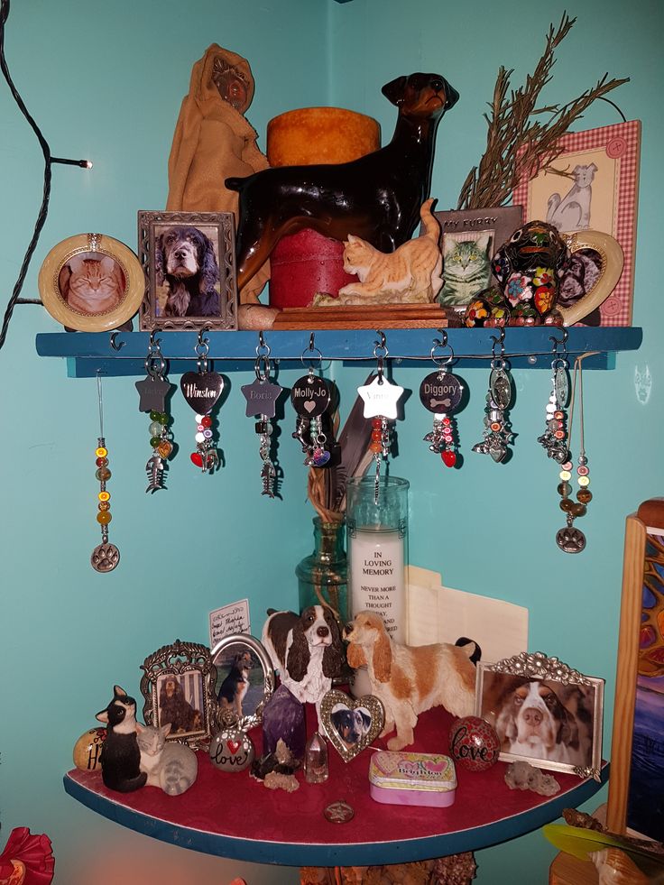 a shelf filled with lots of assorted items on top of a blue painted wall