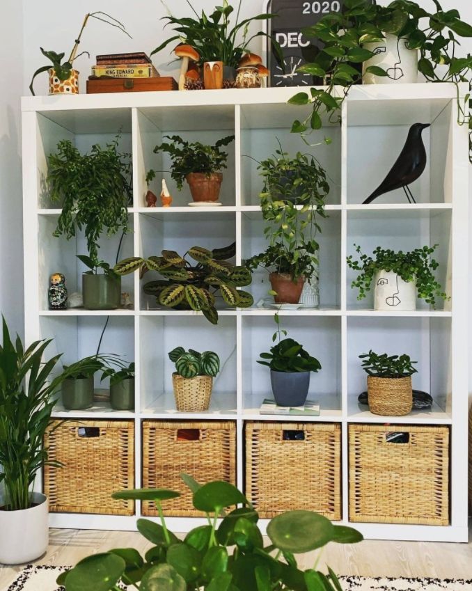 a white shelf filled with lots of plants and wicker bins on top of it