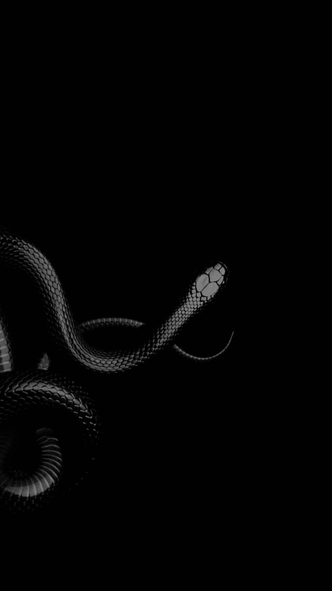 a black and white photo of a snake in the dark with its tail curled up