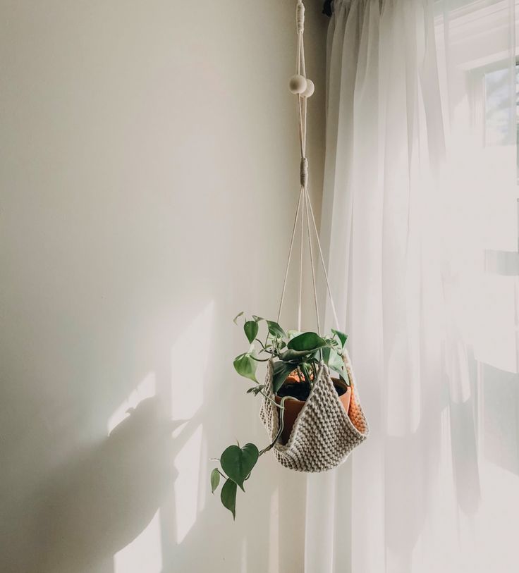 a potted plant hanging from a rope in front of a window with sheer curtains