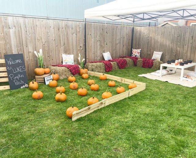 pumpkins laid out on the grass in front of a fence