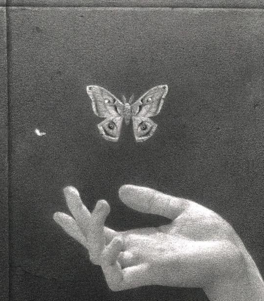 a hand reaching out towards a butterfly in the air