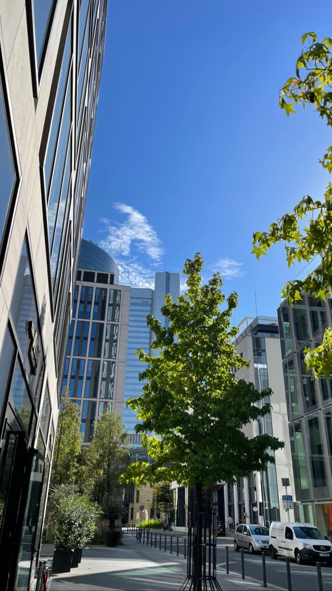 an empty city street with tall buildings and trees on both sides, in front of a blue sky