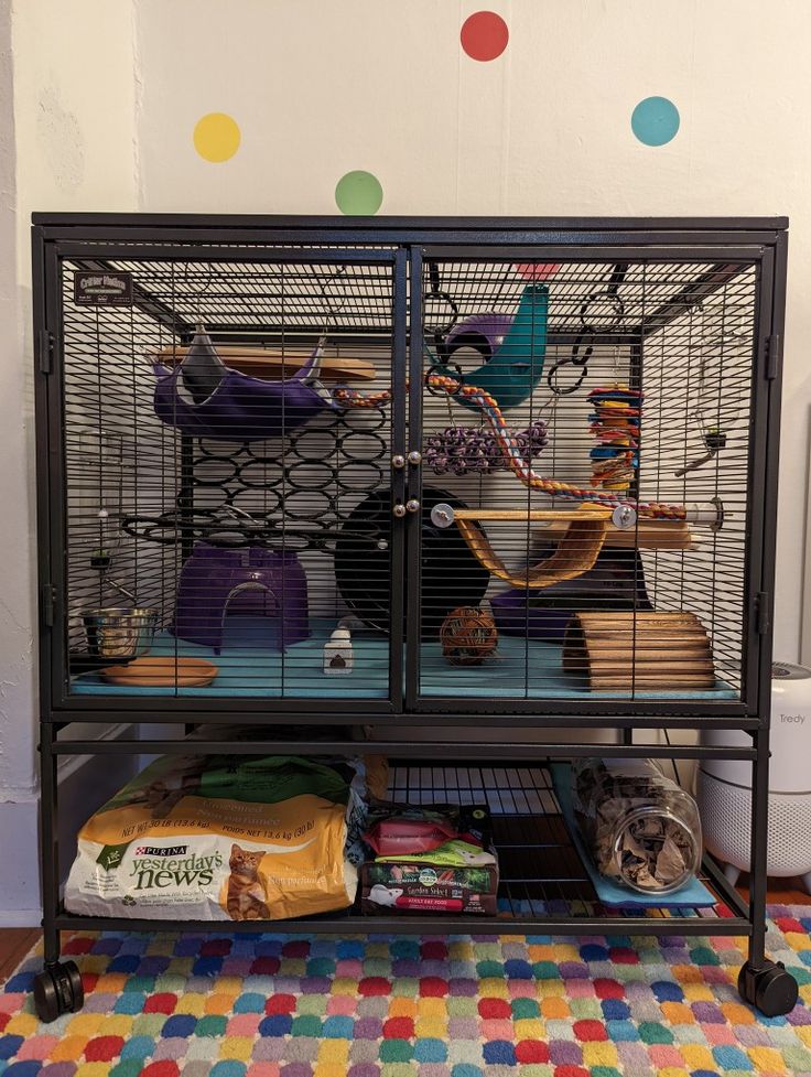 a bird cage with two birds inside on top of a colorful rug in front of a polka dot wall