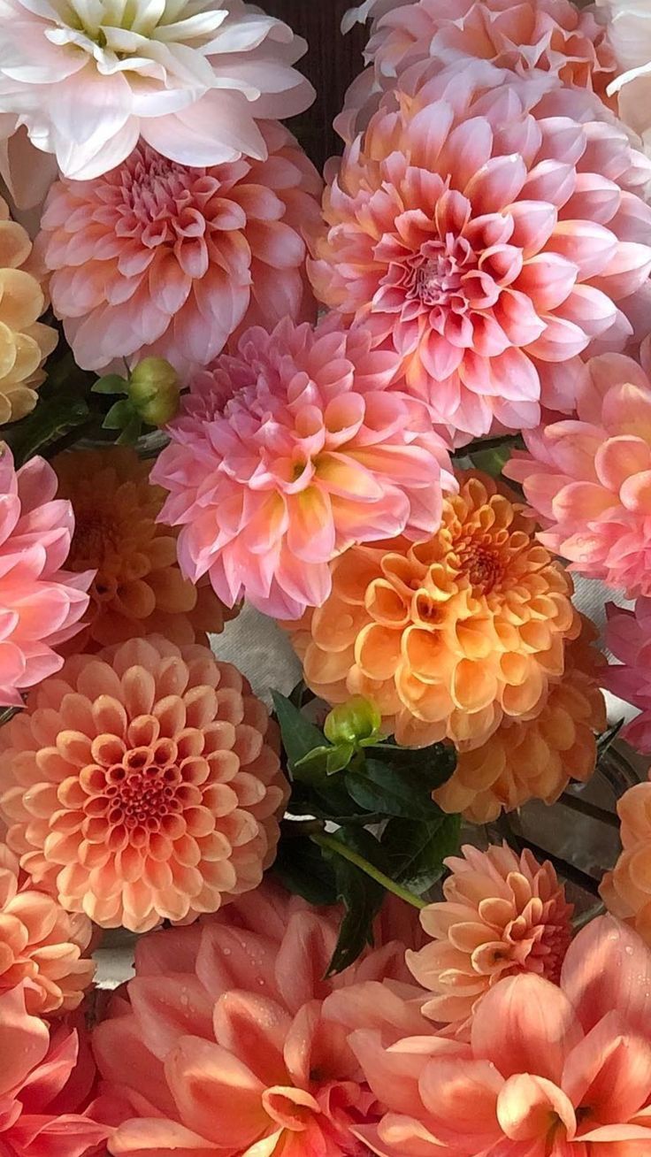 many pink and orange flowers are arranged together