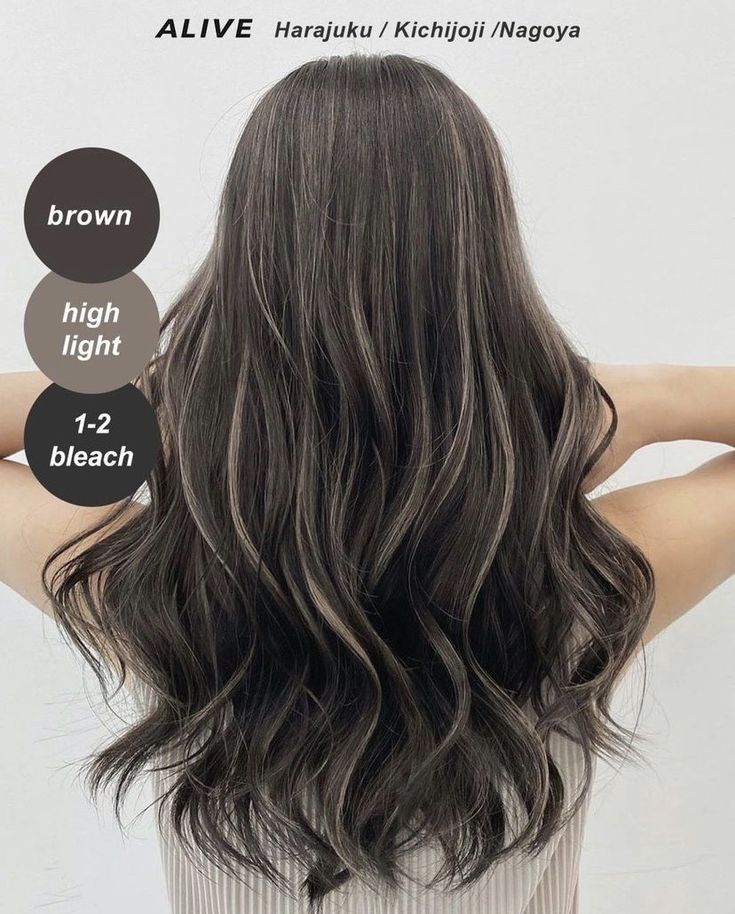 Level 2 Hair With Highlights, Brown Hair With Silver Streaks, Dark Brown With Ashy Highlights, Asian Hair Highlights Balayage Ash Brown, Babylights Asian Hair, Asian Hair Lowlights, T Bar Highlights, Japanese Highlights, Black Hair Lowlights