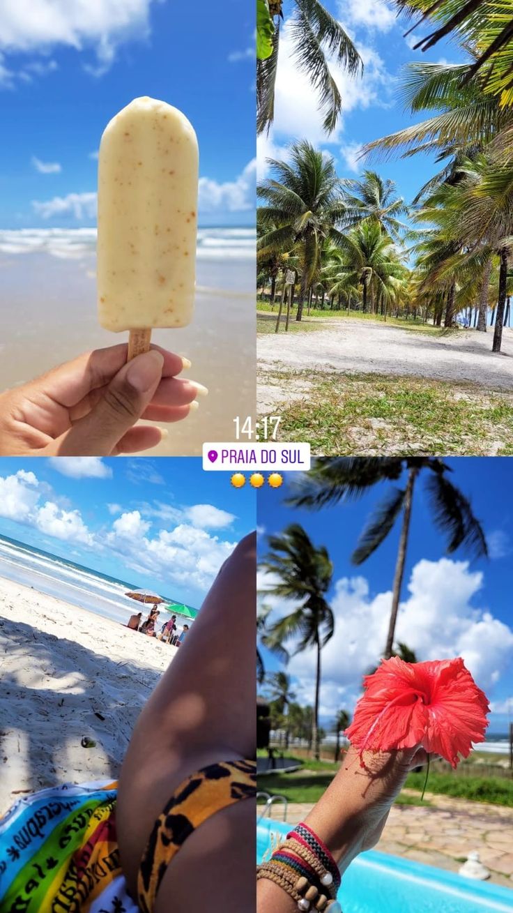 the collage shows different views of beach and palm trees