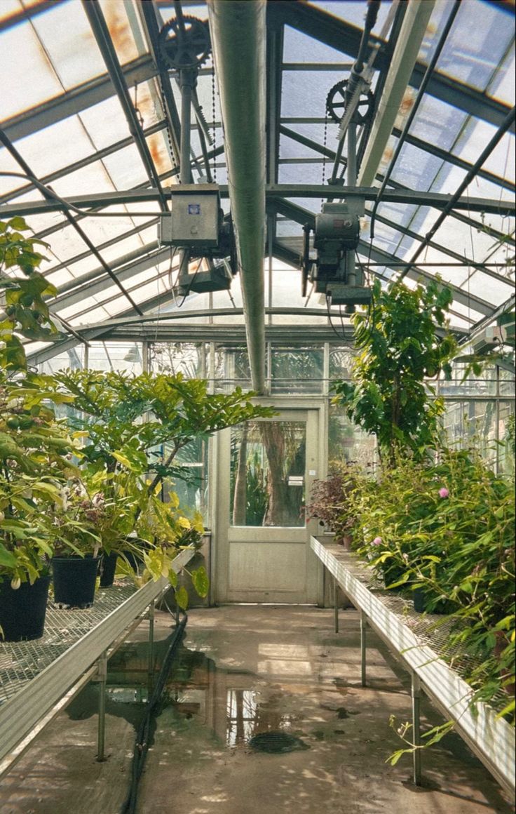 the inside of a greenhouse filled with lots of plants