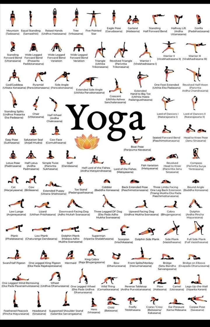 yoga poses and their names are shown in this poster