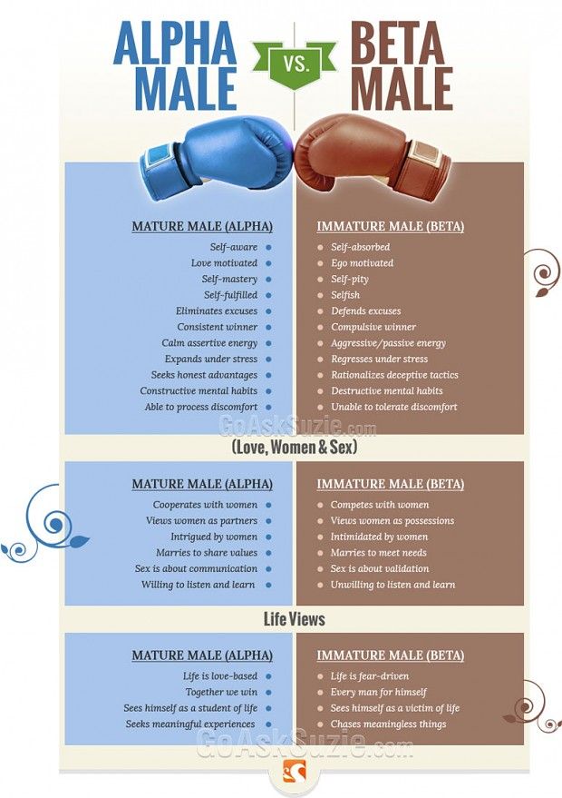 a poster with an image of a boxing glove and the words, alpha male vs beta