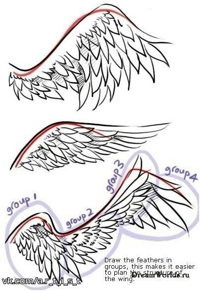 how to draw an angel wing with two different wings and the words, step by step