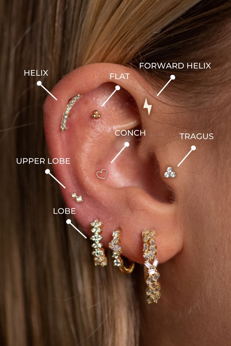 A nice overview of different piercing placements on an ear. You see where a lobe, upper lobe, helix, forward helix, flat, conch and tragus piercing is located. Piercing Diagram Ear, Peircings Women Names, Took Peircings, Meet The Piercings, Ear Piercings On Small Ears, Different Ear Piercings Chart Names, Ear Piercing Labels, Piercing Guide Ear, Piercing Types Ear