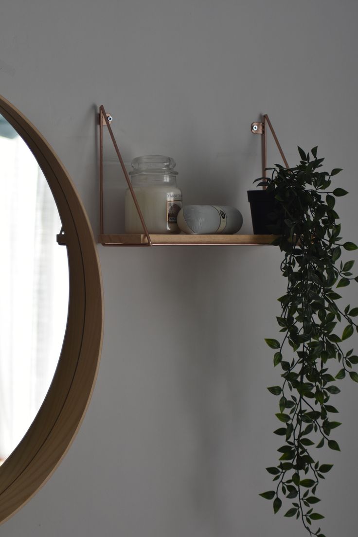 a potted plant sitting on top of a wooden shelf next to a round mirror