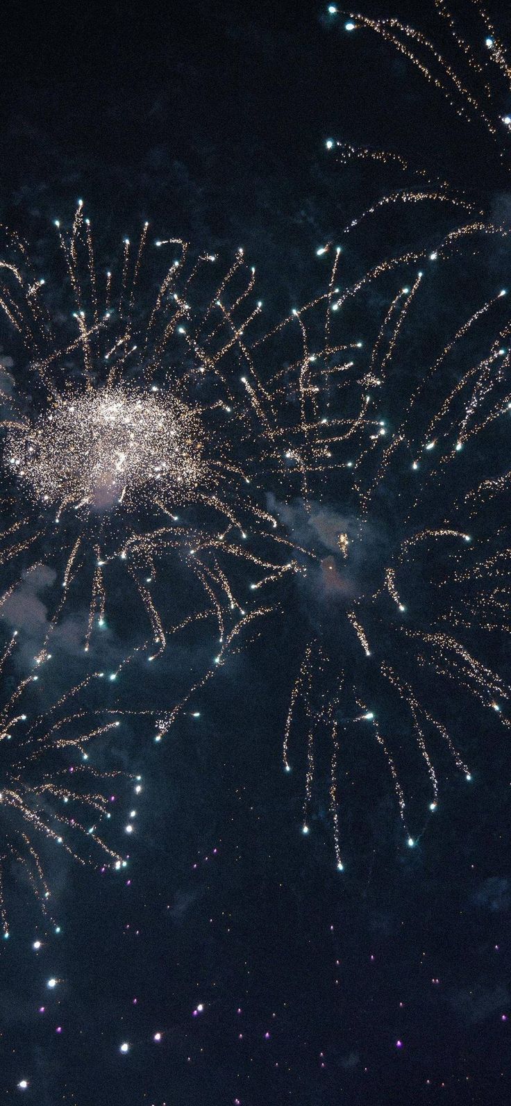 fireworks are lit up in the night sky