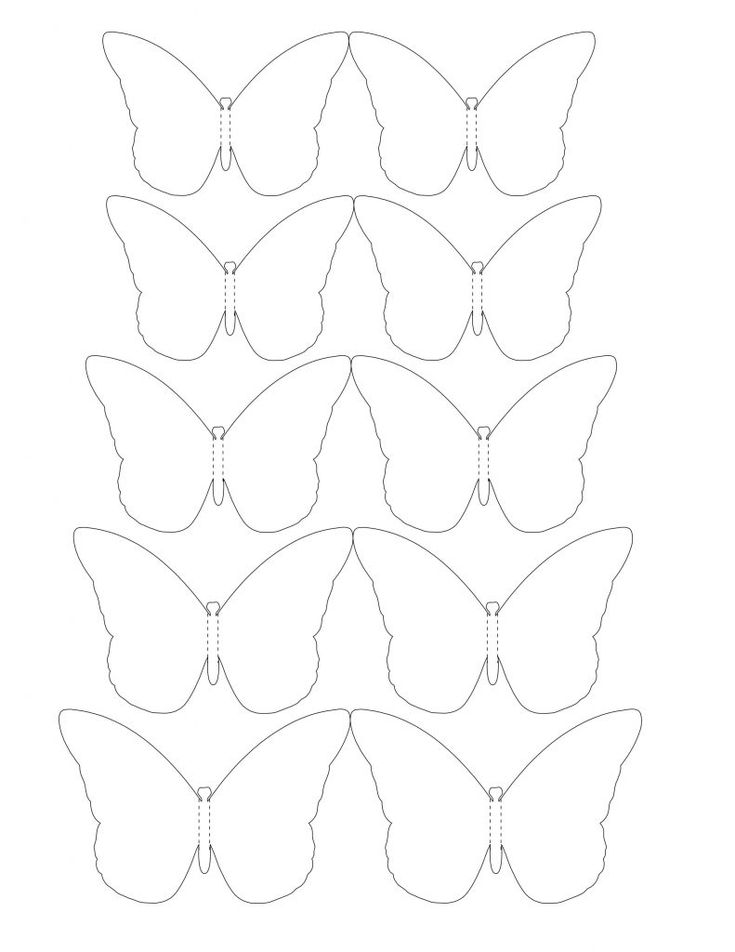 an image of butterflies that are cut out and ready to be used in the project