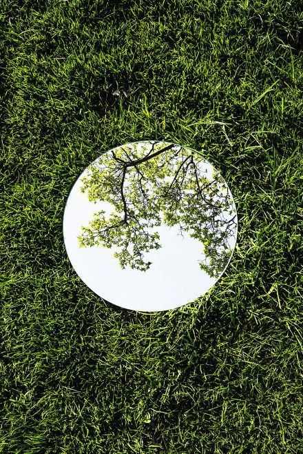 a mirror sitting on top of a lush green grass covered field next to a leafy tree