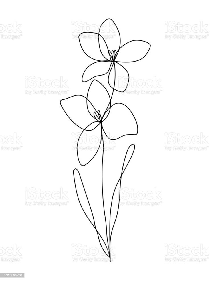 three flowers on a white background royalty photo