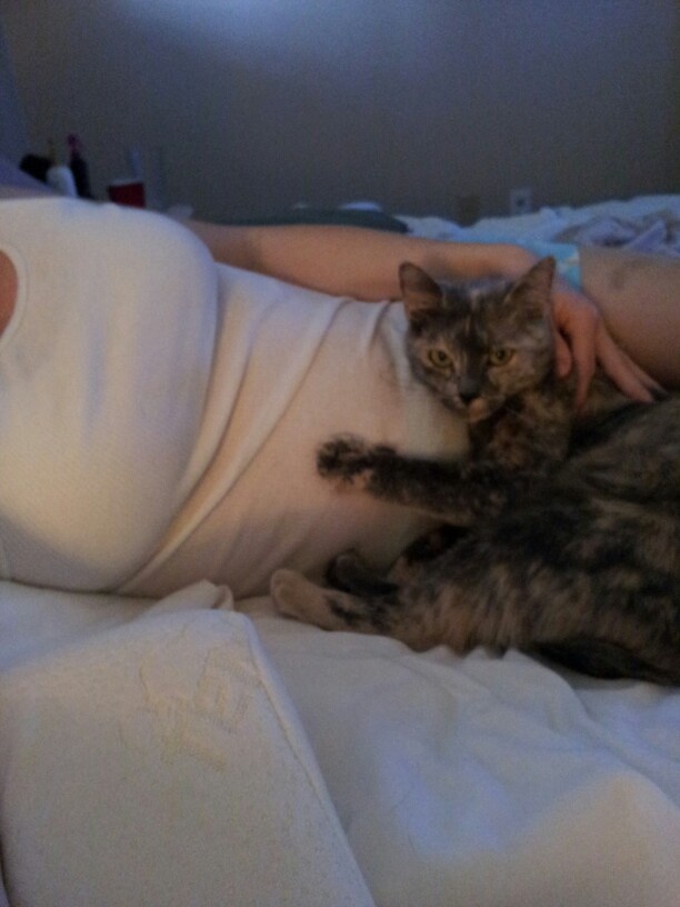 a woman laying on top of a bed next to a gray and white cat in her arms