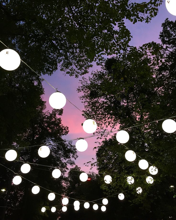 many white paper lanterns are hanging in the air above trees at dusk, with pink and blue sky behind them