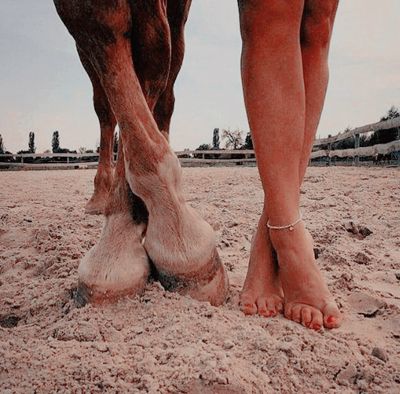 a person standing next to a brown horse on top of a sandy ground covered in dirt