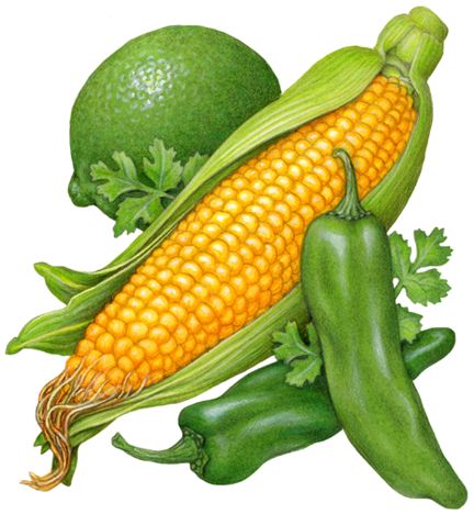 an image of corn on the cob and green peppers