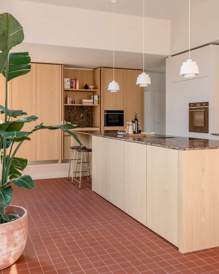 a kitchen with an island, sink, oven and potted plant in the center